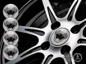 Adesivo su Ruote Etichette Drift Dome Superiori